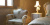 Volpi Collection XVII