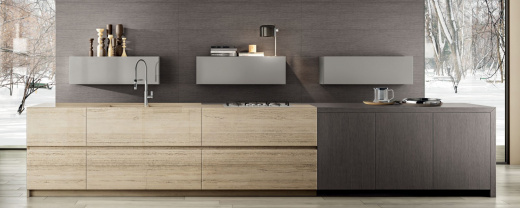 Aster Contempora