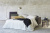 Milano Bedding Mingus