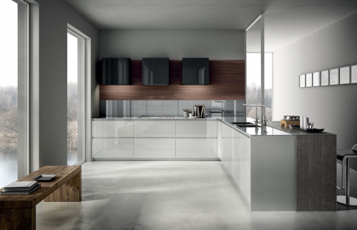 Aster Contempora