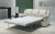 Loiudiced Modello B 930 Composition 1